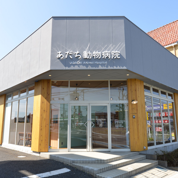 あだち動物病院 外観