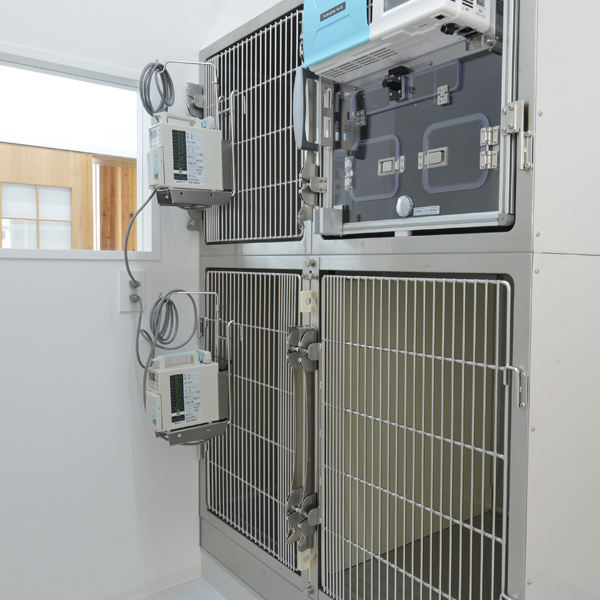 あだち動物病院 入院室